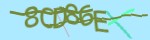 Mã bảo mật