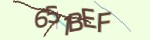 Mã bảo mật