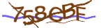 Mã bảo mật
