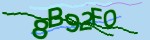 Mã bảo mật