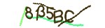 Mã bảo mật